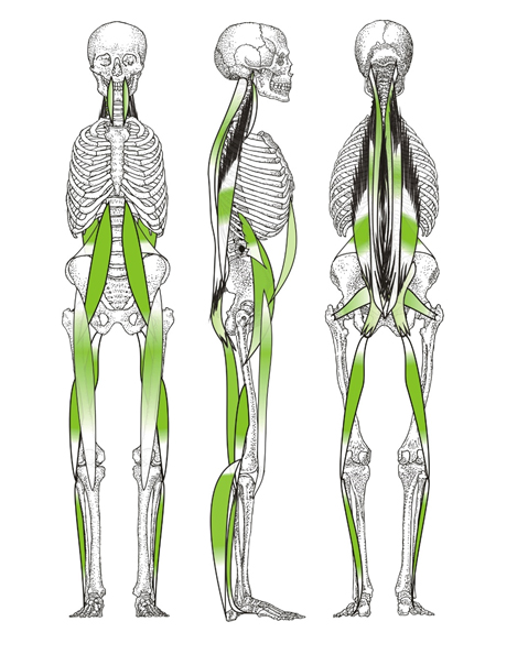 klidová spirální stabilizace páteře