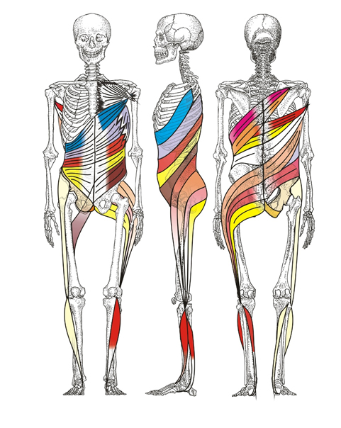 pohybová spirální stabilizace páteře